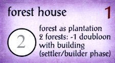 Forest House